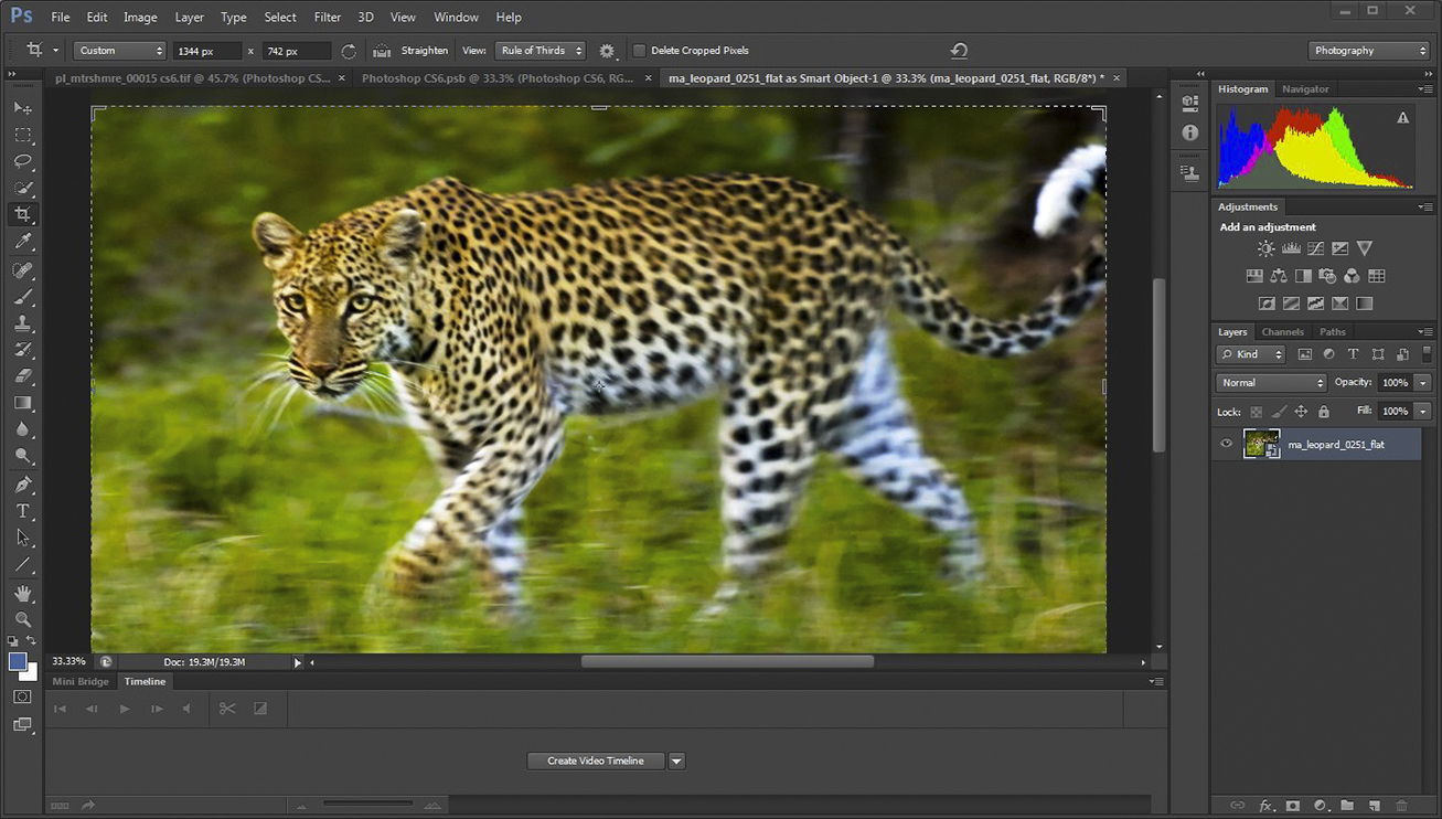 Adobe Photoshop CS6 for Windows Histogram (2012)